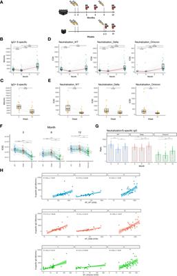 Longitudinal monitoring of mRNA-vaccine-induced immunity against SARS-CoV-2